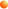 Punto
